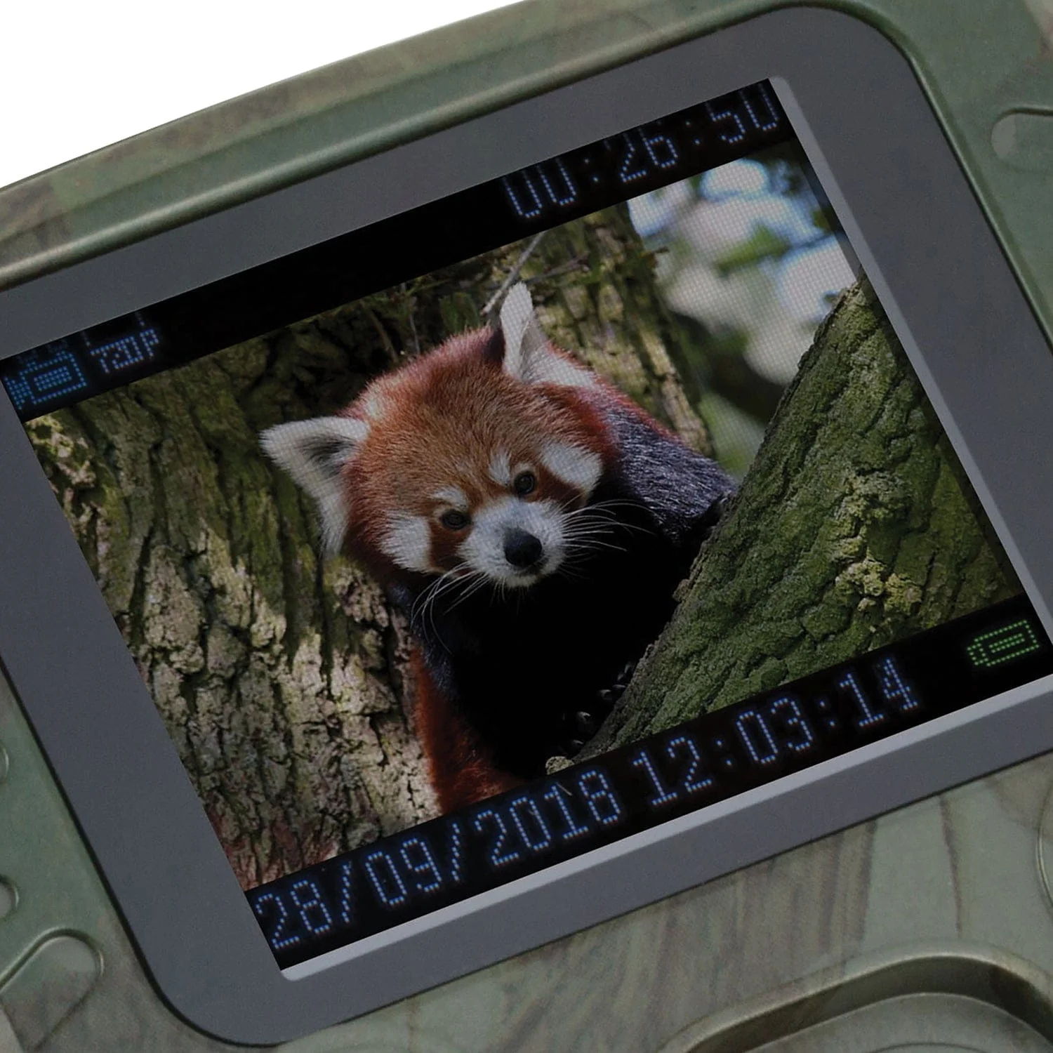Thumbnail 4